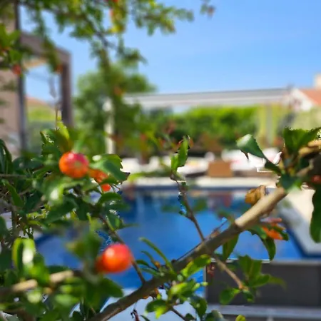 アパート Nika Tribalj