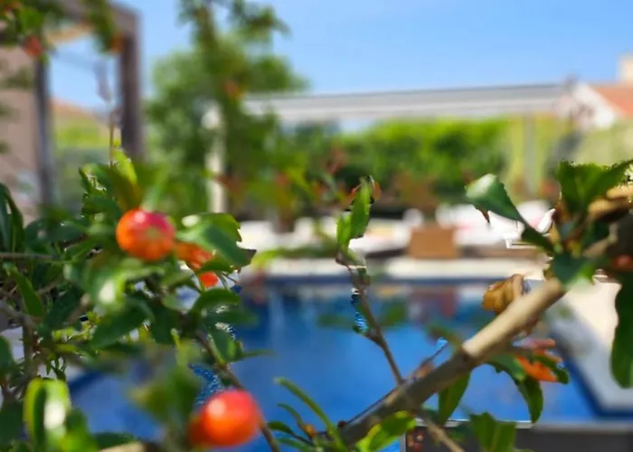 Apartman Nika Tribunj (Sibenik-Knin)